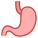 Stomach icon