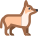 柯基犬 icon