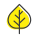 Aspen icon