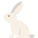 Coniglio icon
