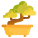 Bonsai icon