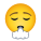 emoji-exhalando-la-cara icon