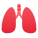 Lungs icon