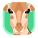 Animal icon