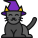 Gato negro icon