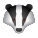 獾表情符号 icon