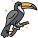 巨嘴鸟 icon
