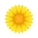 Blüte icon