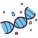 Dna icon