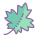 Maple Leaf icon