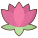 Lotus Flower icon