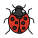 Ladybug icon