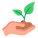 Seedling icon