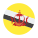 Brunei-Darussalam-Rundschreiben icon