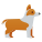 柯基犬 icon