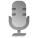 Microphone icon