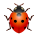 Lady Beetle icon