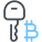 Bitcoin Key icon