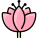 Lotus icon