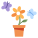 Blossom icon