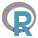 R icon