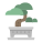 Bonsai icon