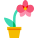 Orchid icon