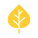 Aspen icon