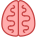 Brain icon