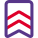 Double striped batch for home guards national uniform icon