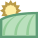 Campo icon