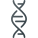 DNA icon