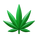 Hoja de marihuana icon