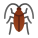 Cucaracha icon