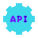 Impostazioni API icon