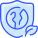 Shield icon