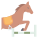 Dressage icon