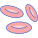 Blood Cells icon