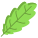 Oak Leaf icon