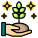 Plant Growth icon