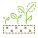 生长植物 icon