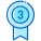 Award icon