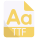 TTF icon