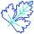 Coriander Leaf icon
