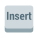 insertar clave icon