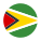 Guyana-circolare icon