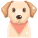 Perro icon