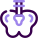 Pelvis icon