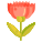 Carnation icon