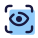 vision icon